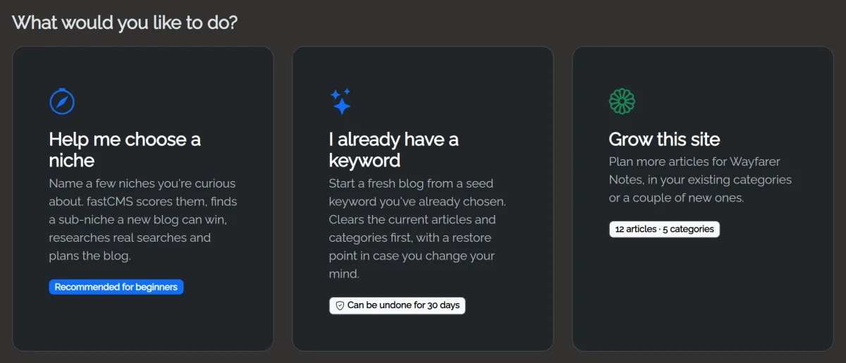 AI Autopilot: three choices, Help me choose a niche (recommended for beginners), I already have a keyword, and Grow this site