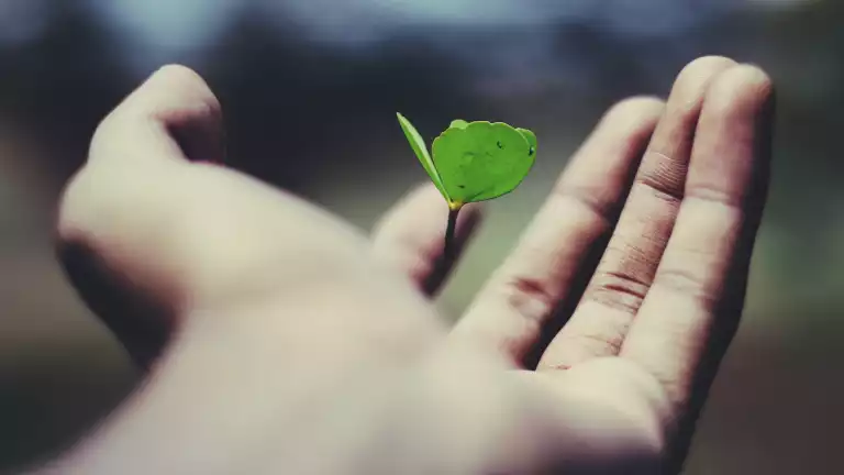 10 Mindset Shifts To Unlock Your Potential