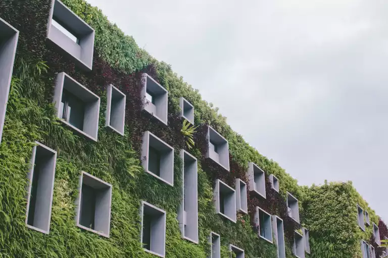 How To Create An Eco-Friendly Home On A Budget