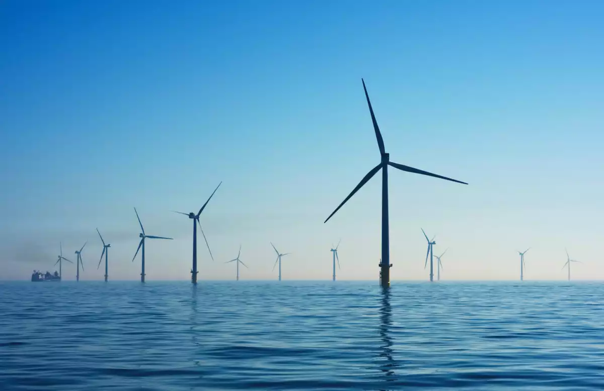 The Impact Of Climate Change ~ What You Can Do To Make A Difference