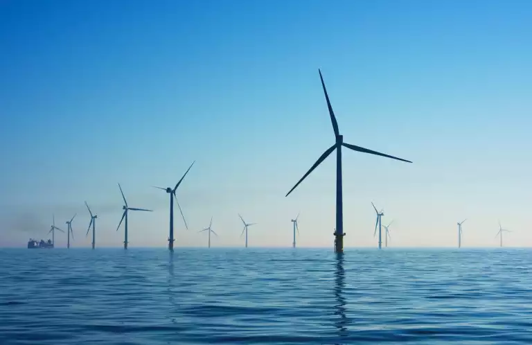 The Impact Of Climate Change ~ What You Can Do To Make A Difference