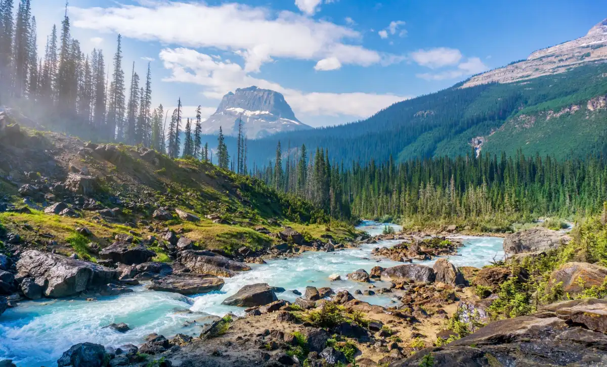 Wilderness Wonders: Journeying Into The Heart Of Adventure Travel