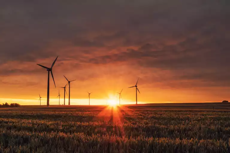 Environment & Sustainability