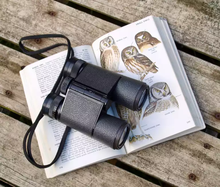 Hobbies & Interests