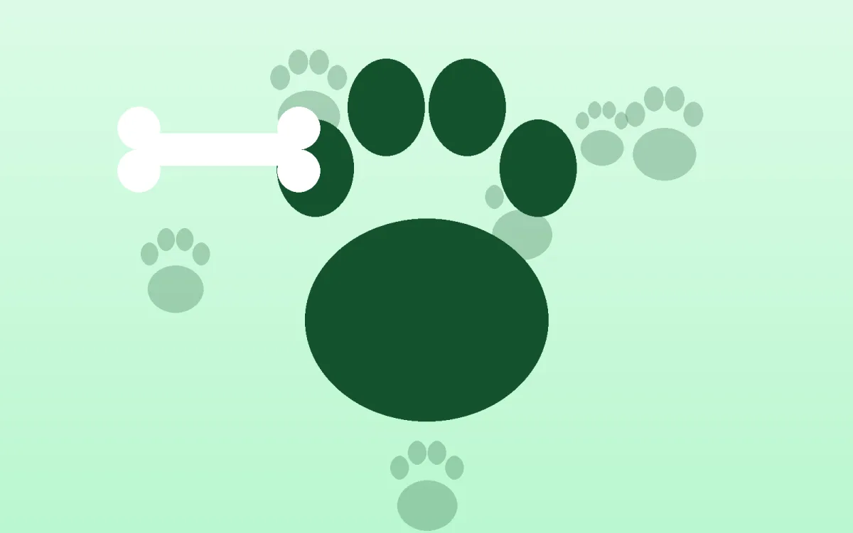 Illustration for What To Expect In Your First Week With A Rescue Cat